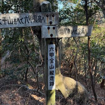 昔の標識は味があっていいなぁ