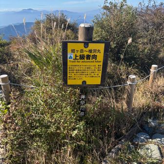 この看板に少しビビる
丹沢人ティシャツをお召しのプロの方にご助言いただく