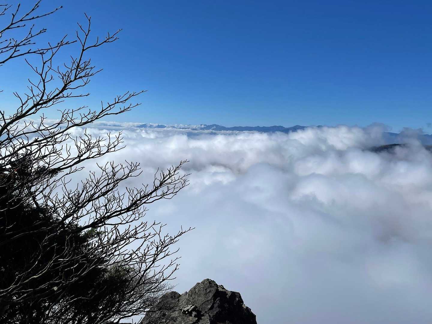 雲海！