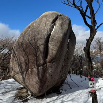 桃岩🪨
桃というかコーヒー豆というか干し葡萄というか