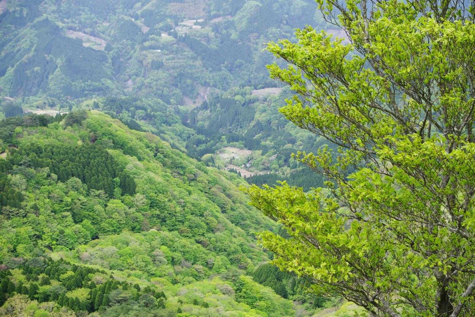 トンギリからの外界民家が見える
