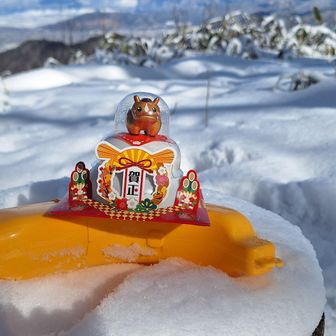 パカッと🍌
新年明けましておめでとうございます🎍今年もよろしくお願いします

今年も長野マラソン完走できますように🏃‍♂️