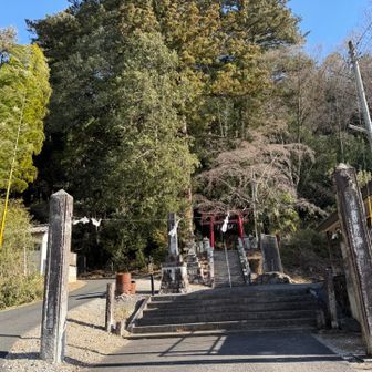 菅東山出世稲荷神社ここからラストピークへ