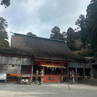 雪の気配はゼロ
