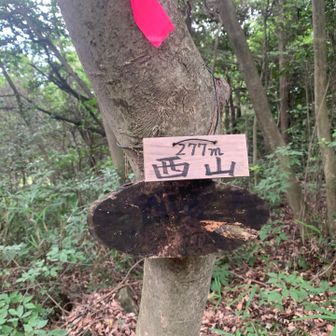 あら？西山？？