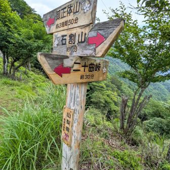 道標助かります🙏
二十曲峠に下山しようかと思ってましたが、時間と体力がまだ残ってるので御正体山方面に進みます🤭