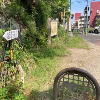 北山公園ハイキングコース入口到着。やっと登山道から解放