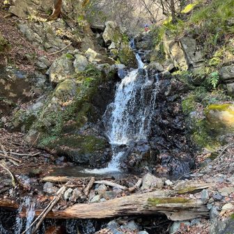 写真も撮る暇なしで