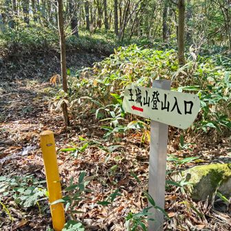 もどって王城山へ