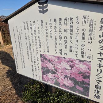 今度はシーズンにね😊