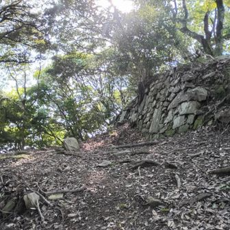 斜陽✨と石垣のコンピ🙂
勇み足下山🥷