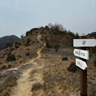 トンガリ山へ⛰️