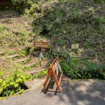 不老山から下り２時間…
6,7割くらい舗装道路か林道で、結構足にきました😱

現在13時12分、かなりハイペースで進めました👍
駿河小山13時45分の電車に間に合えば
後のご褒美がある✨✨もう少し頑張ろう…