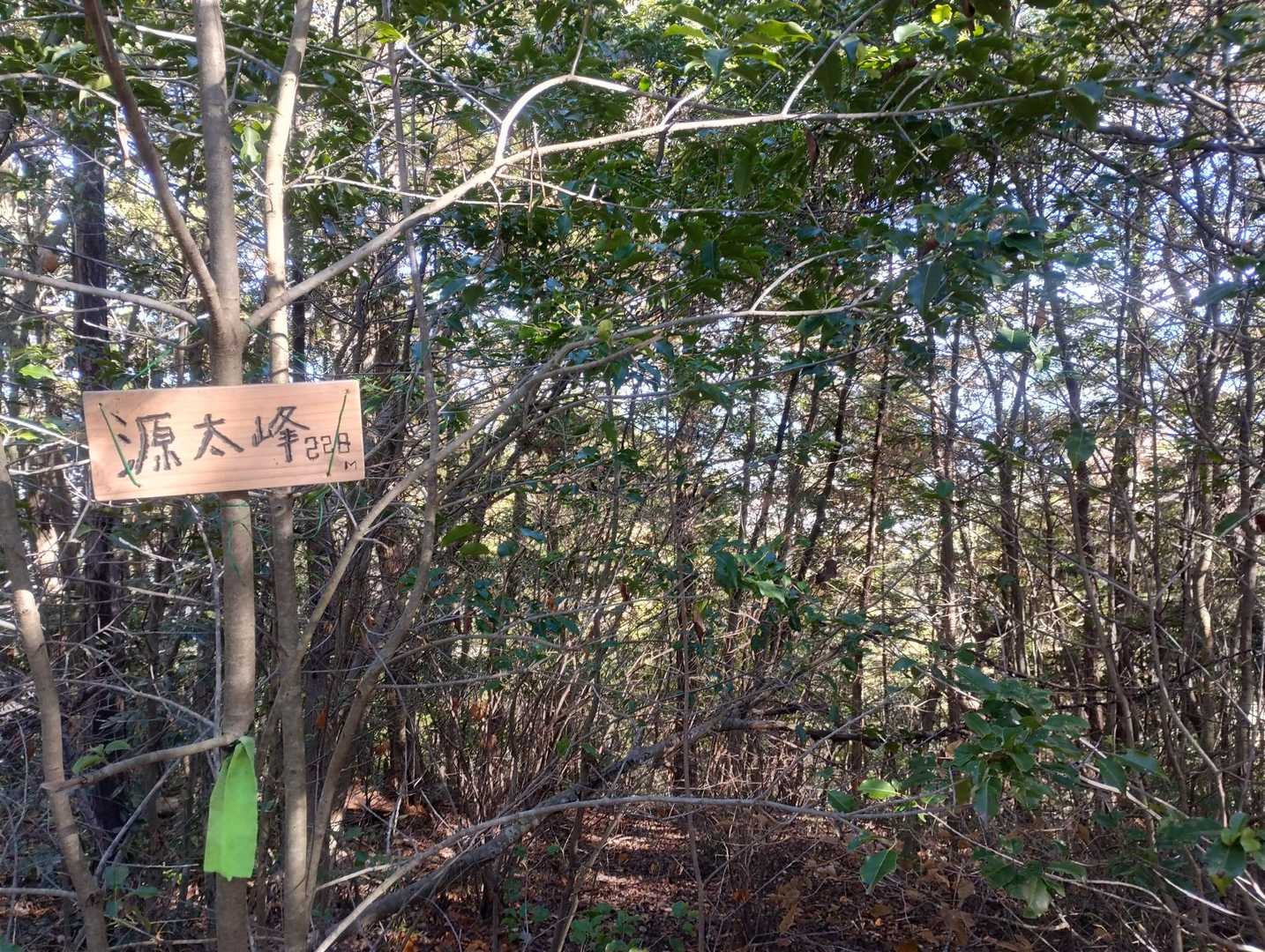 頂上到着。眺望無し