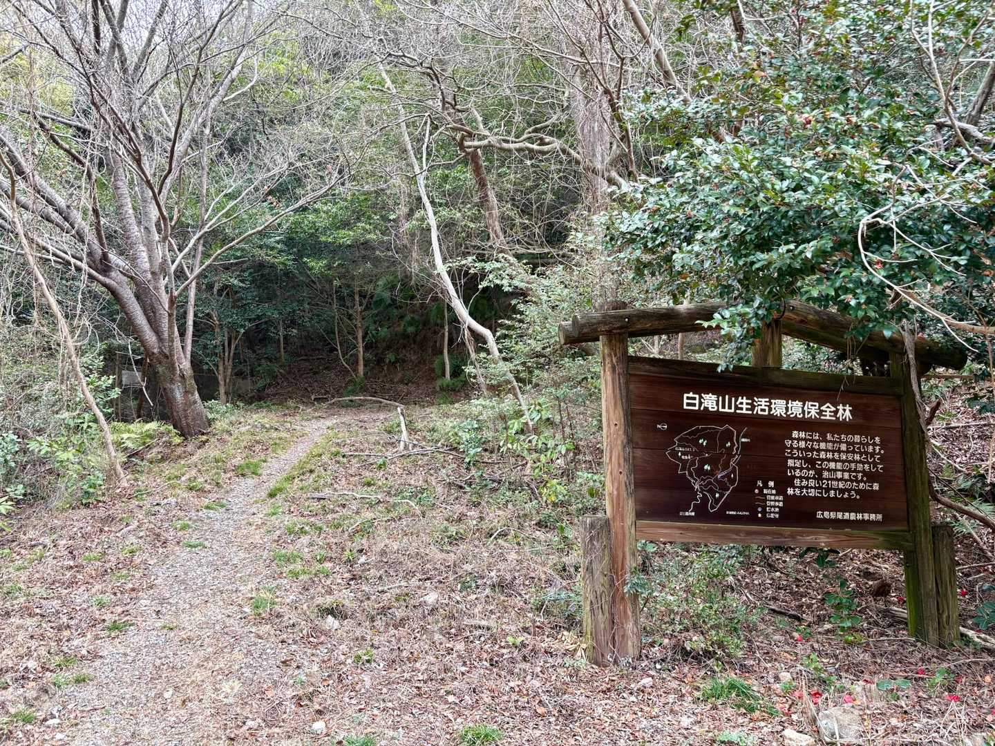 白滝山への入口⬆️