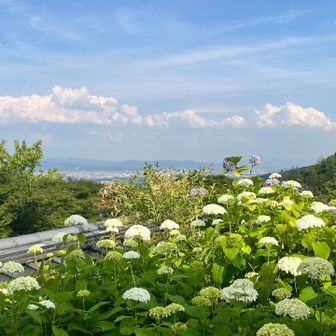 また山に登れるようにリハビリがんばります！