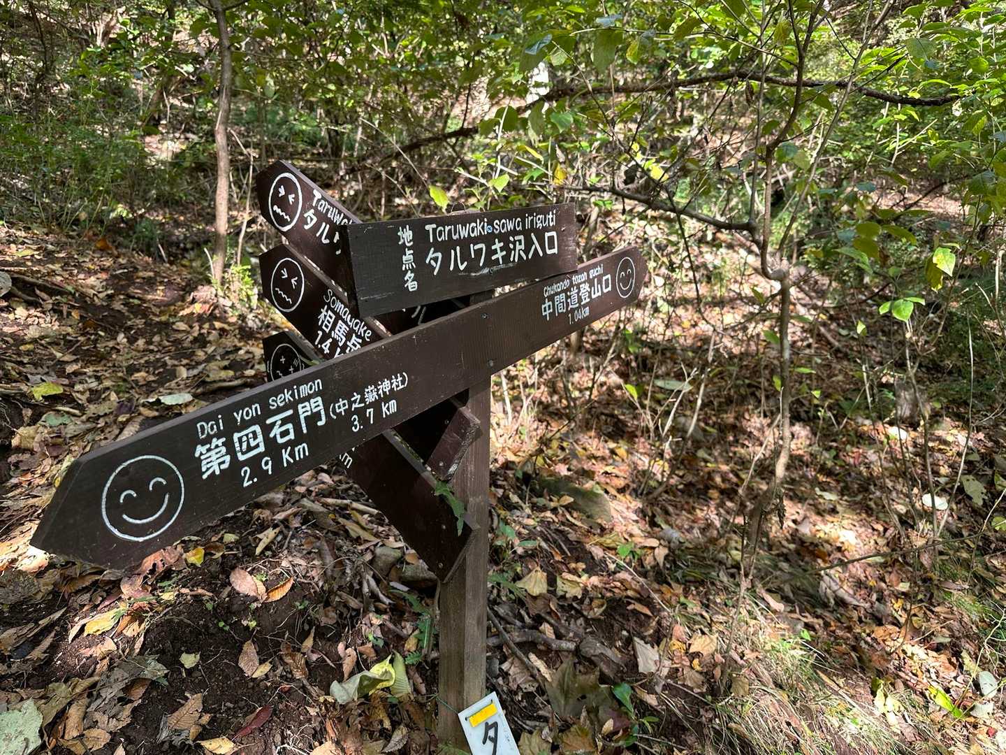 
ロープなど沢山練習させてもらったので
時間がかかってしまった
タルキ沢で13時半過ぎ

先へは進まずタルワキ沢から中間道へ降りてきました
