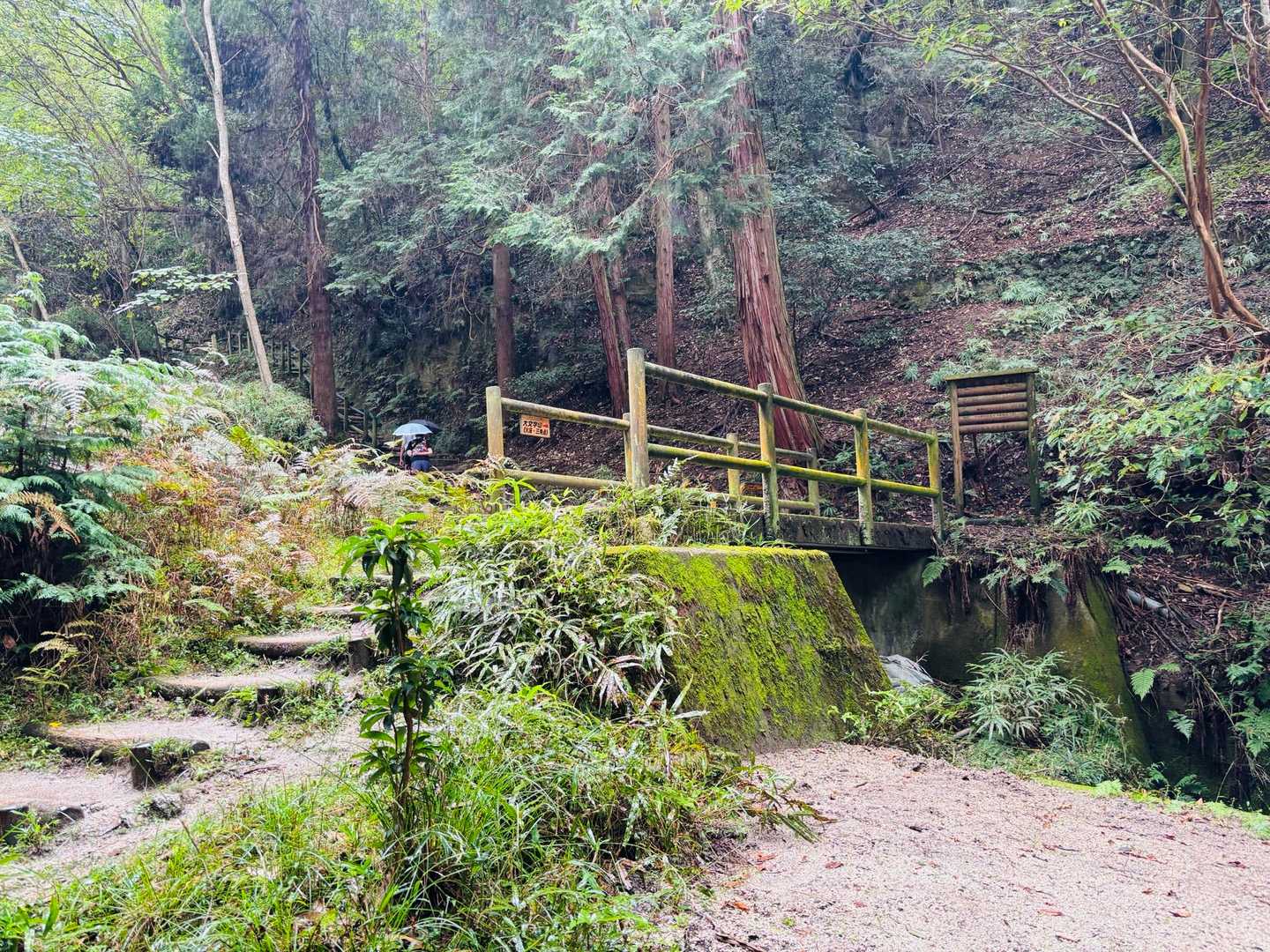 最後の橋を渡って、舗装路へ