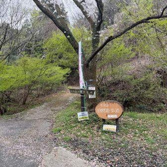 登山口到着
たったか登ります