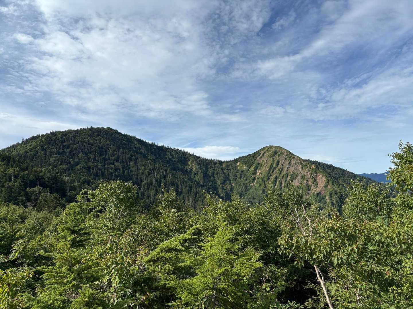 左の山が今日のゴールかな