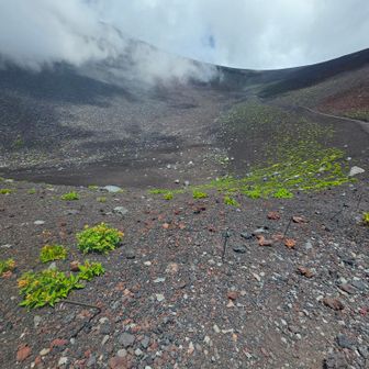 第１火口へ下り　振り返る
右の稜線が宝永山へ続く馬の瀬