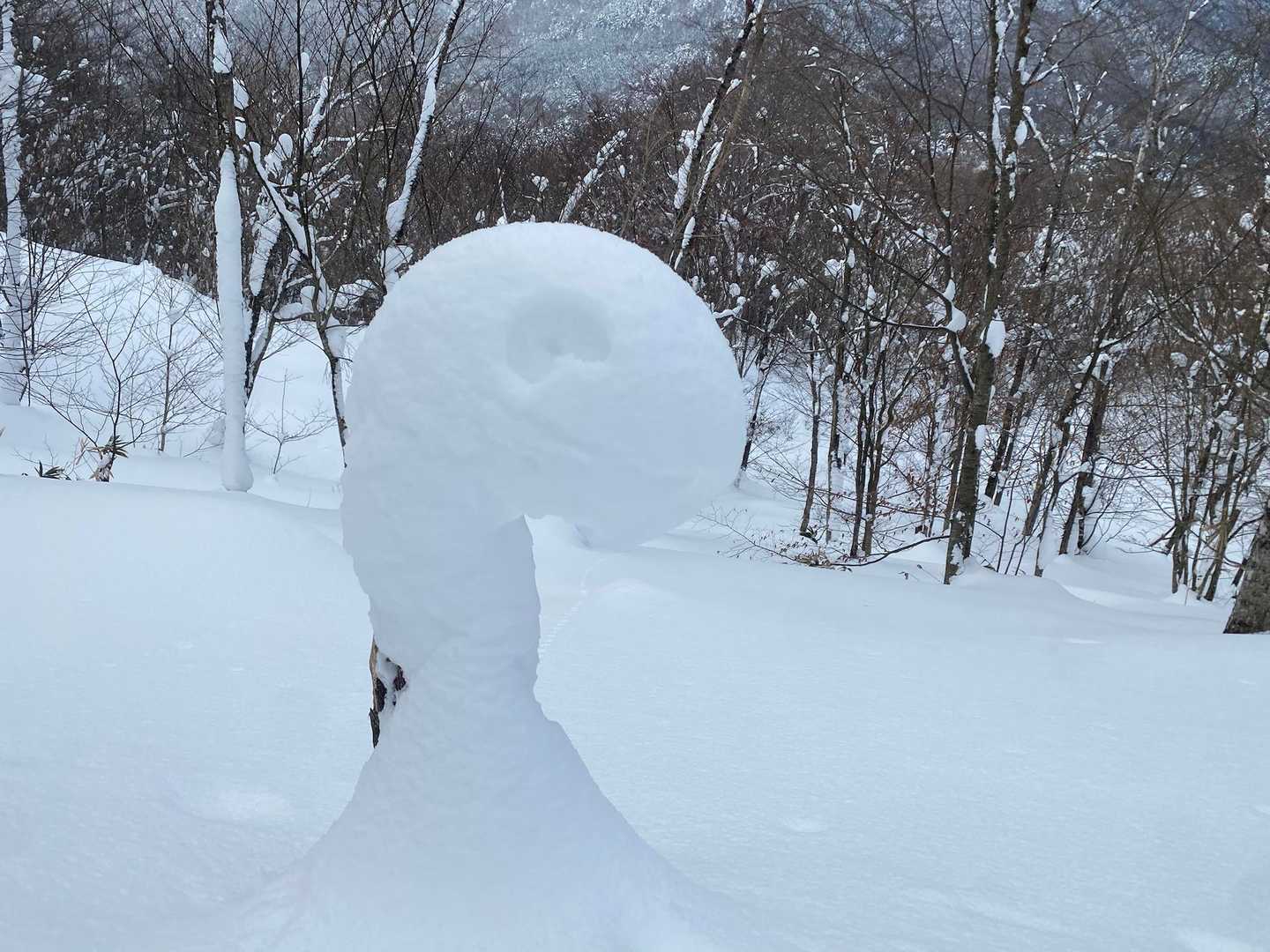 自作🐍
