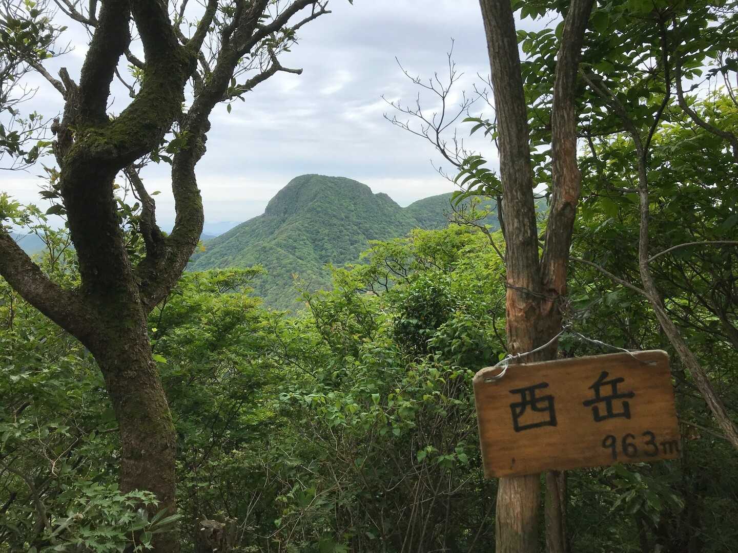 西岳の写真
