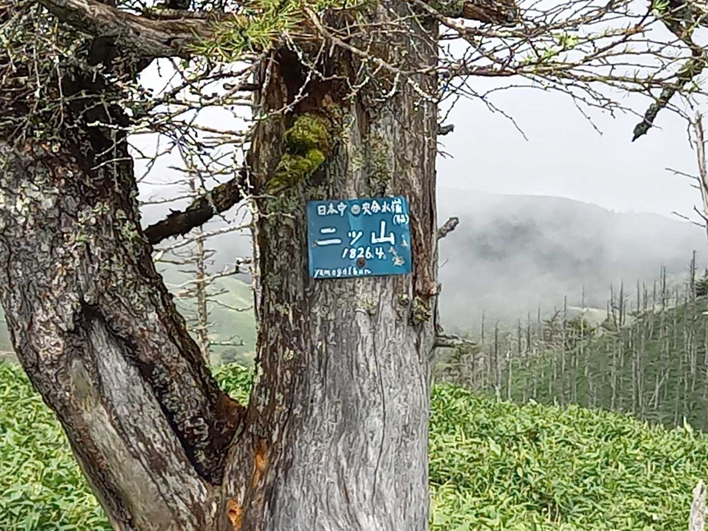 ここにも