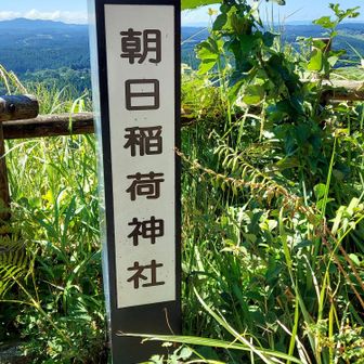 こちらの標識も立派である。