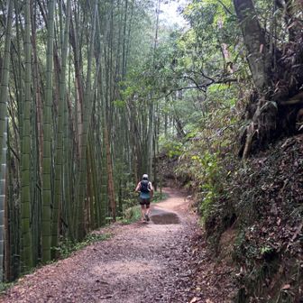 ここから妻籠城址に登っていきます