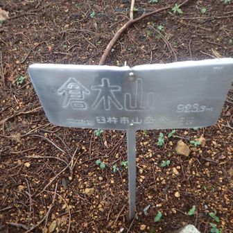 倉木山到着！