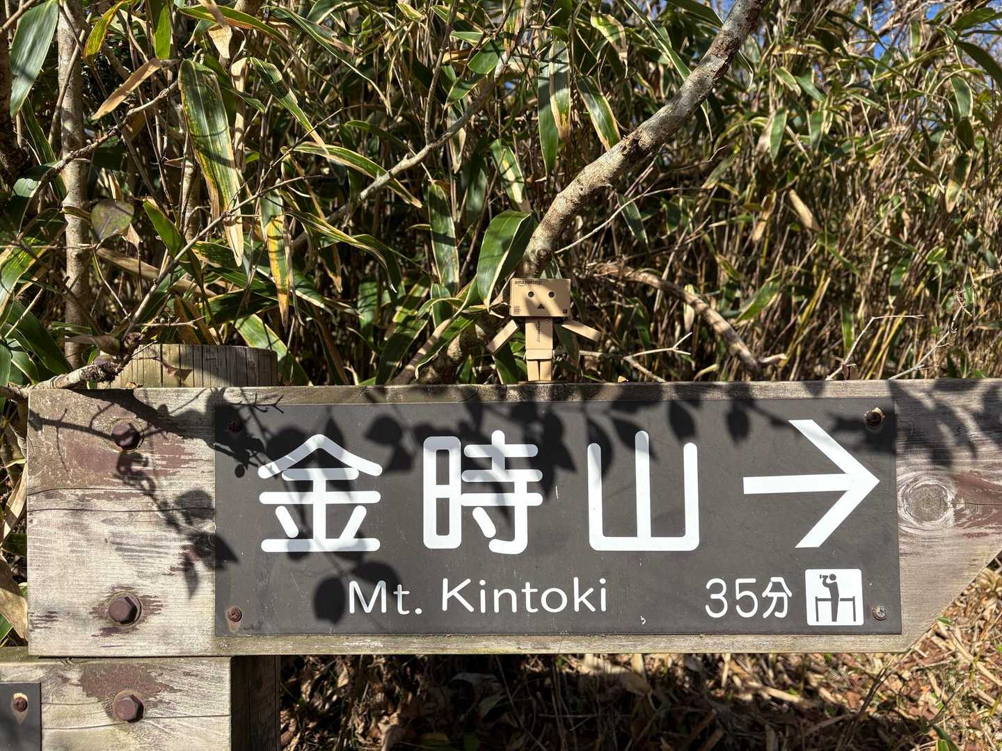 ダンボー隊長。
小さくて存在感が💦