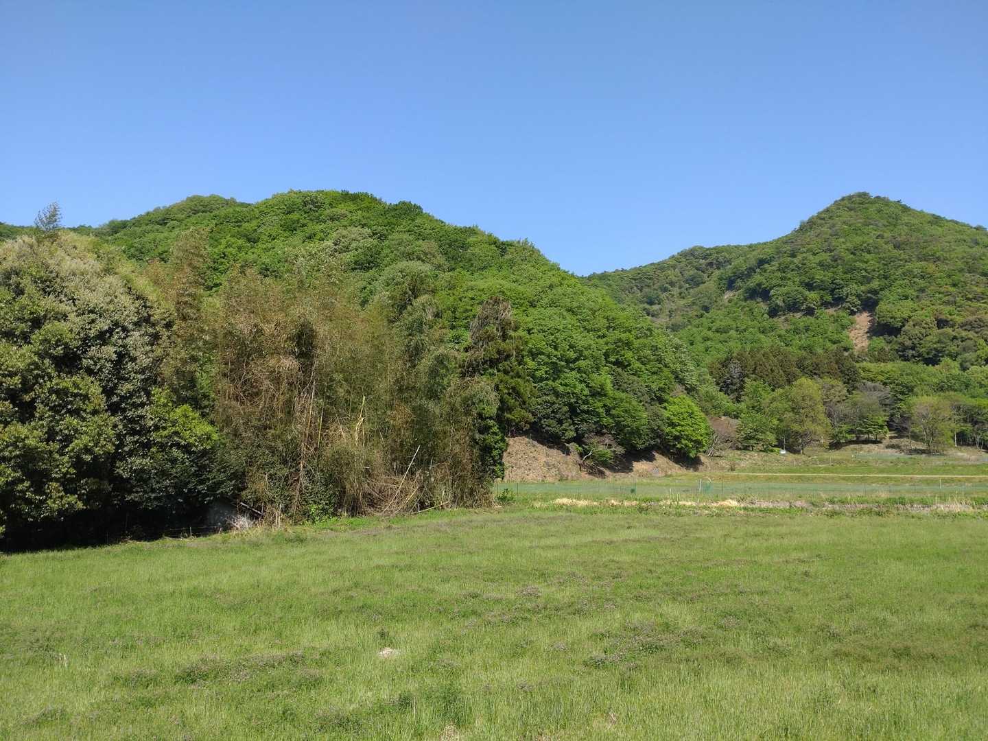 里山もそろそろ暑くて☀厳しいですね