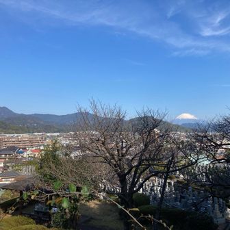 この後ろに大きな観音様がいますが写真はなし。