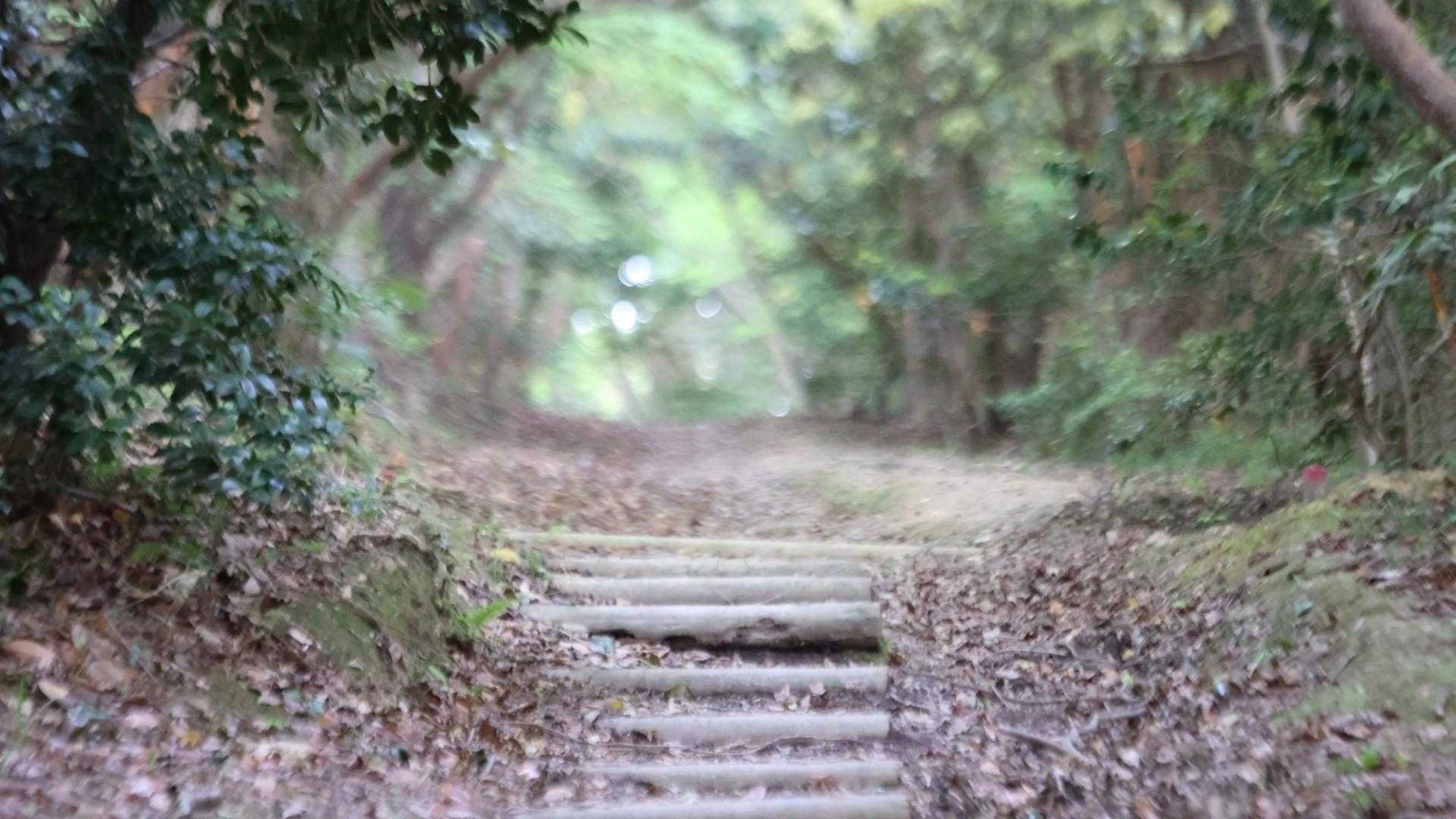 さぁ、登り始めるよ🎶