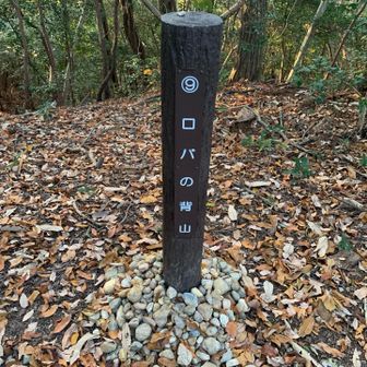 ここが本来の山頂？