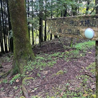 浦山口登山道へ