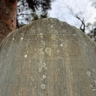 ピークはこの辺りですがよく分からず
石碑の薄さと文字を掘る技術が印象に残りました