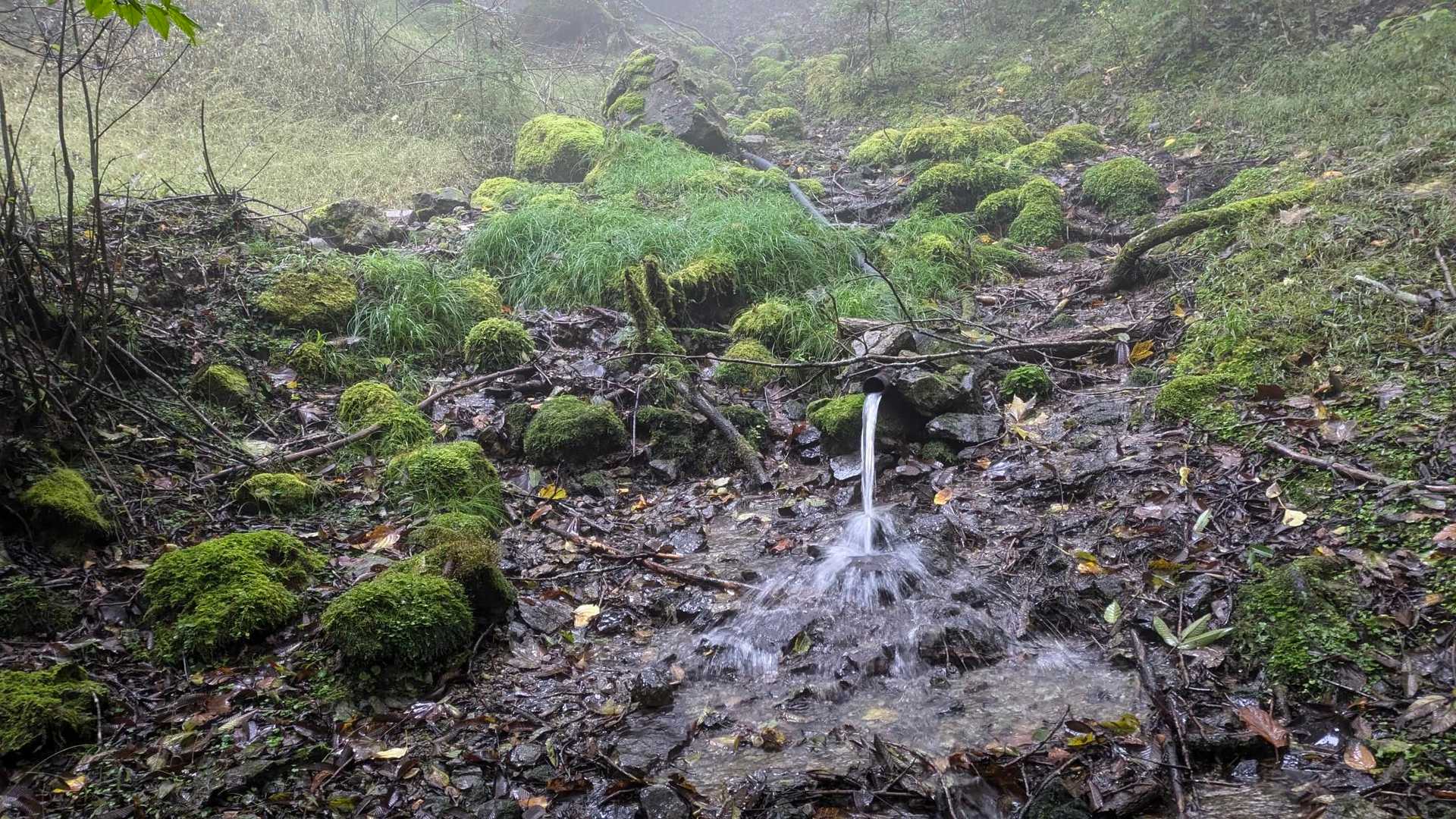 尾平トンネル登山口-丸山-本谷山-笠松山 往復コースの写真