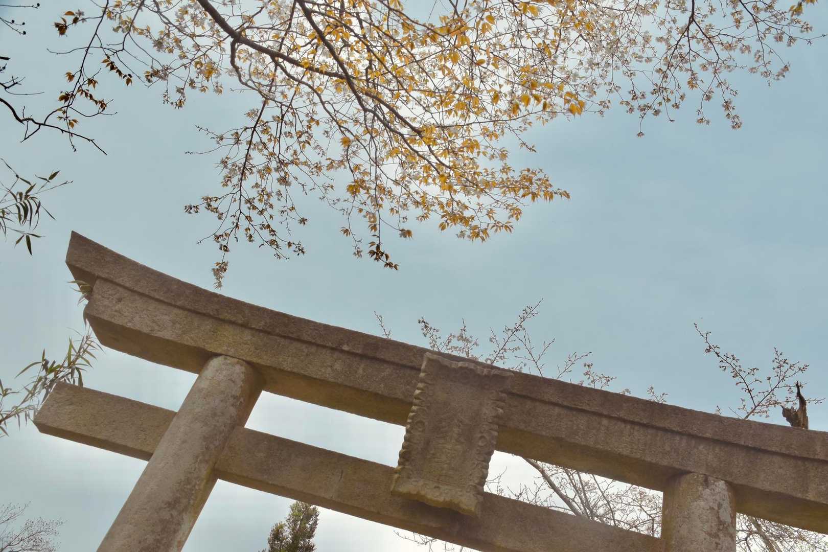 色々探り探りゆっくり歩いたので
どのくらいで頂上に着くかなぁと思ってたら
さっくりと山頂に着いた
