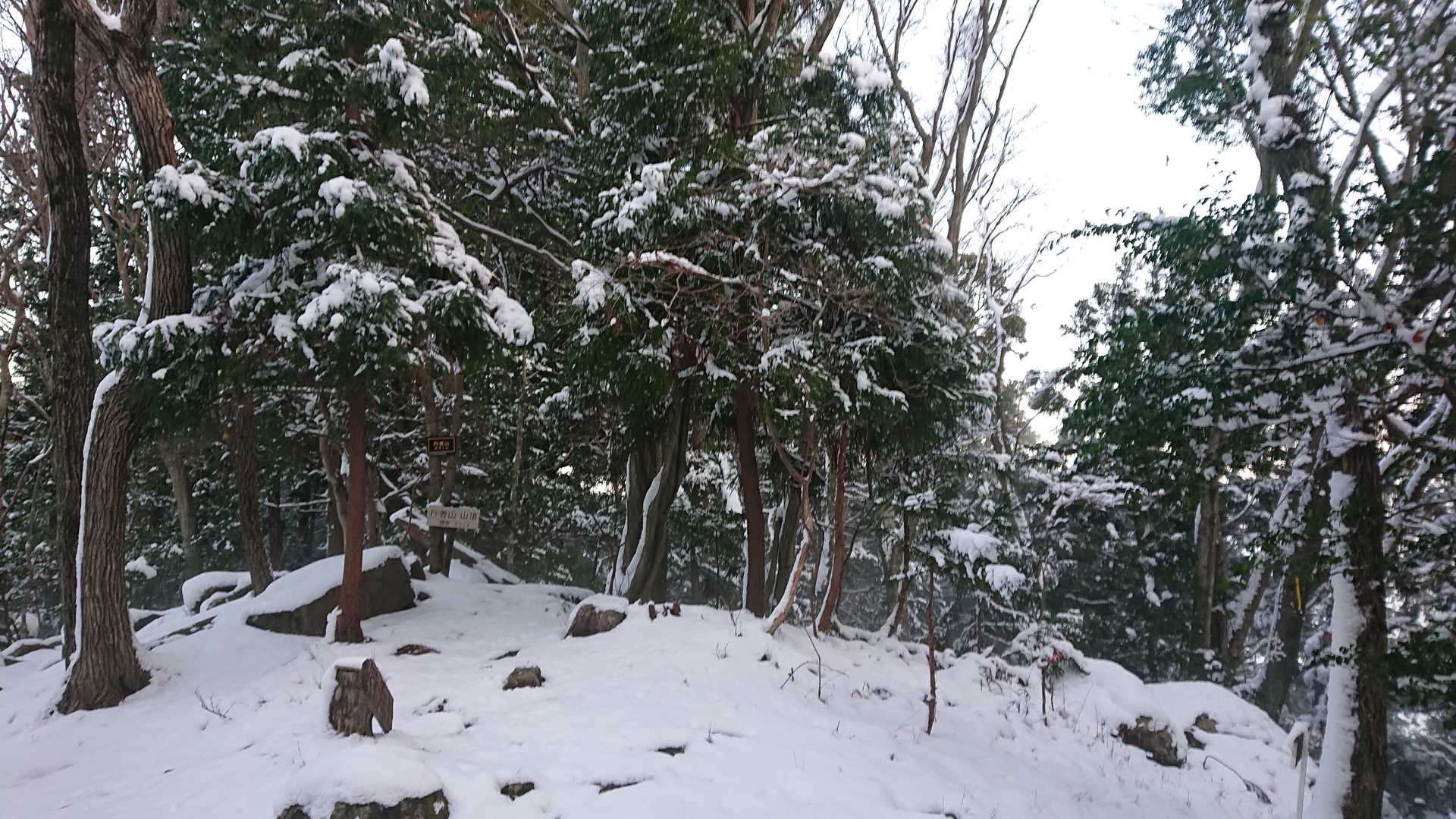 行者山山頂