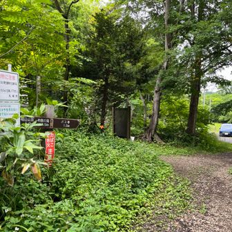 無事下山。でもバテたなぁ。