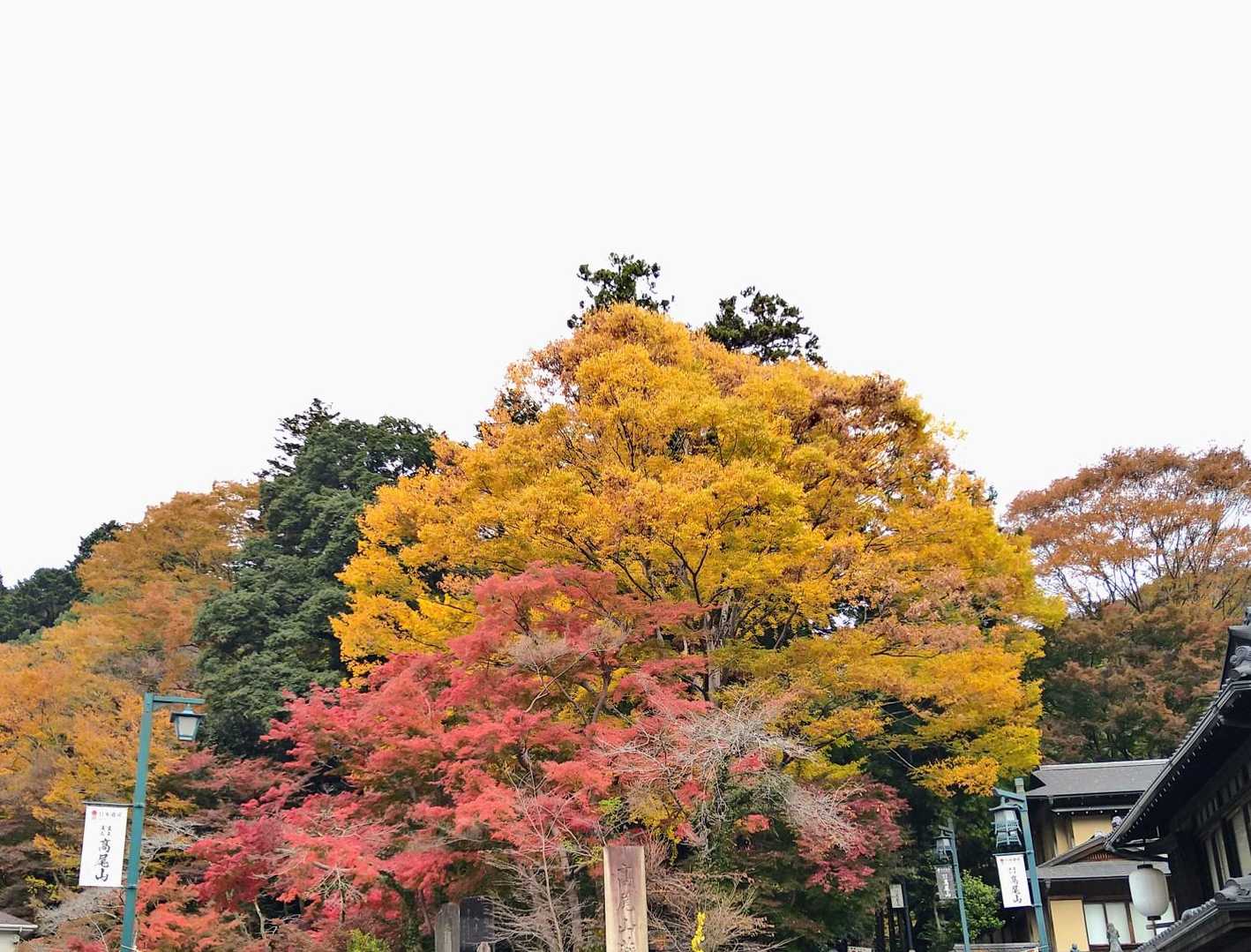 今日の山歩き、スタート