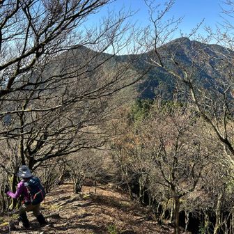 もしかして「江川岳」と「屏山」…⁉️