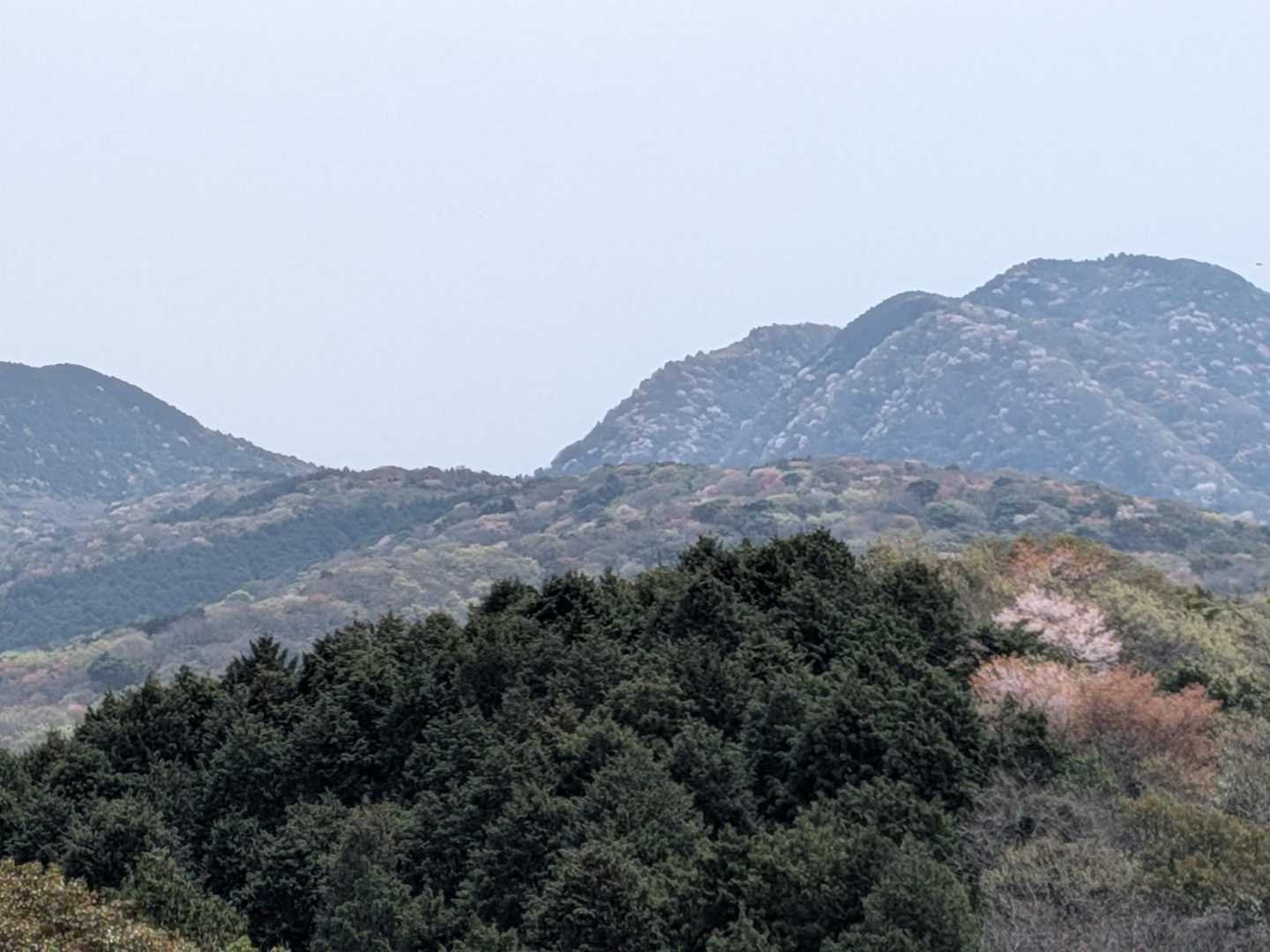 あ〜
遠くのお山
薄桃色に染まってるのに・・・🌸

肉眼では見えるけど
写真で撮るとイマイチ

あるあるですな(⁠´⁠ ⁠.⁠ ⁠.̫⁠ ⁠.⁠ ⁠`⁠)