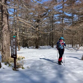 池の平駐車場に到着しました
