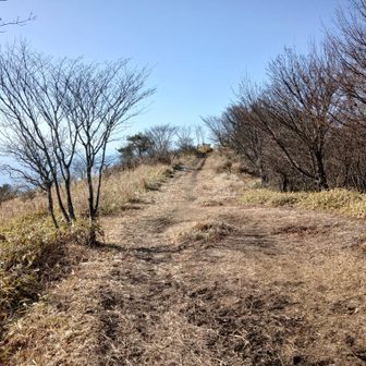 まもなく鍋割山山頂