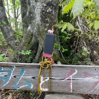 経ヶ岳・法恩寺山 アダムとイブと