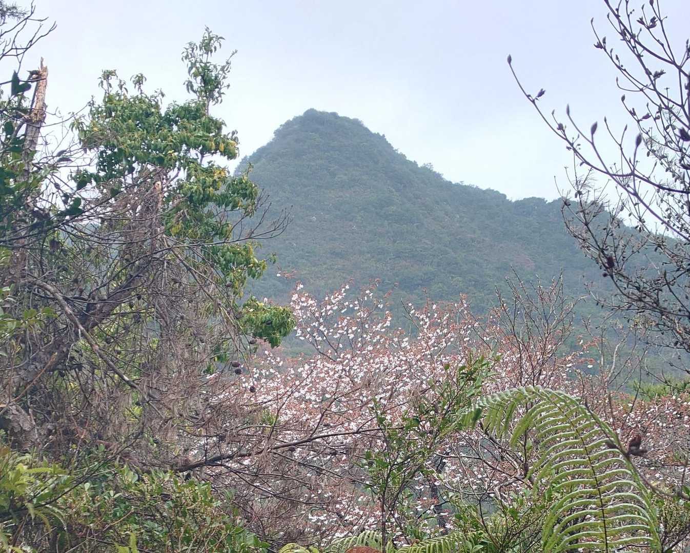 袴腰山 周回コースの写真
