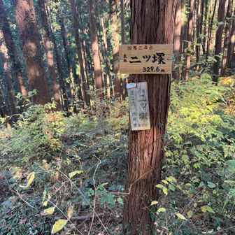 二ツ塚？地図上にはない山頂標識🙄
YAMAPの地図ではここは倉戸山。
